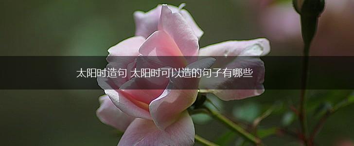 太阳时造句 太阳时可以造的句子有哪些,第1张