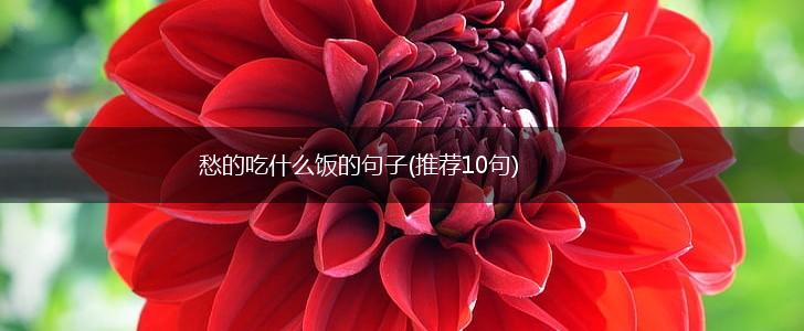 愁的吃什么饭的句子(推荐10句),第1张