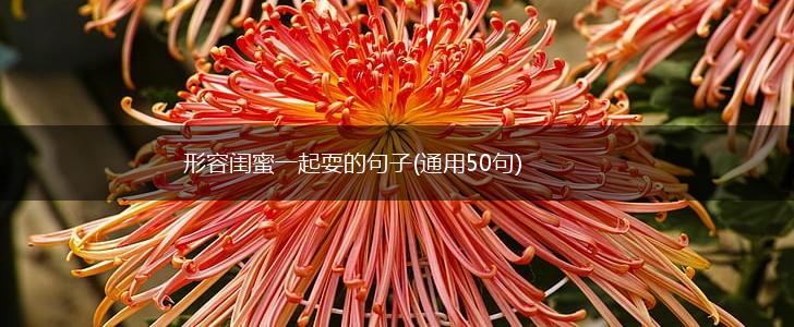 形容闺蜜一起耍的句子(通用50句),第1张