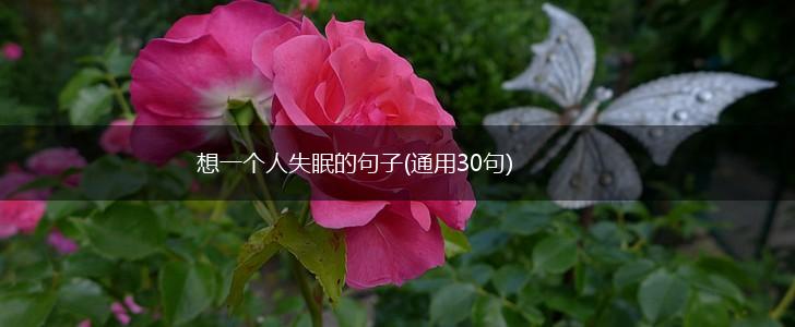 想一个人失眠的句子(通用30句),第1张