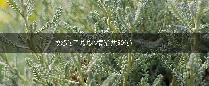 愤怒句子说说心情(合集50句),第1张