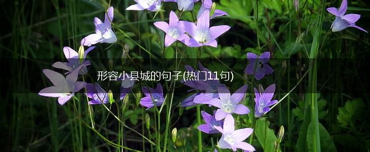 形容小县城的句子(热门11句),第1张