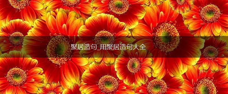 聚居造句_用聚居造句大全,第1张