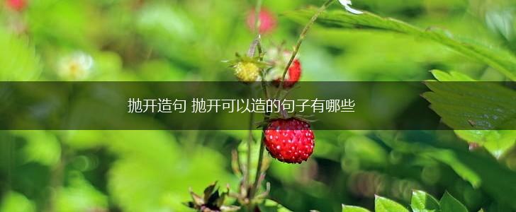 抛开造句 抛开可以造的句子有哪些,第1张