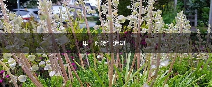 用“倾覆”造句,第1张