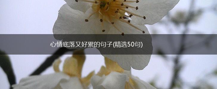 心情底落又好累的句子(精选50句),第1张