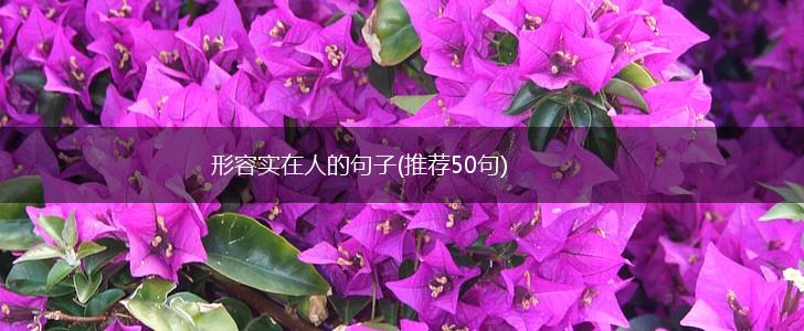 形容实在人的句子(推荐50句),第1张