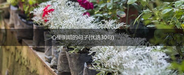 心里阴暗的句子(优选30句),第1张