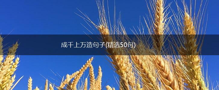 成千上万造句子(精选50句),第1张