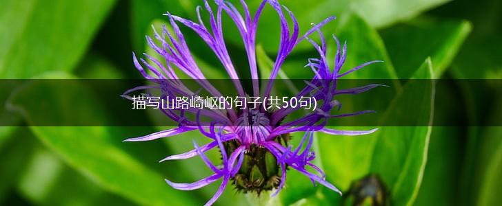 描写山路崎岖的句子(共50句),第1张