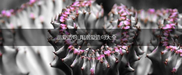 溺爱造句_用溺爱造句大全,第1张