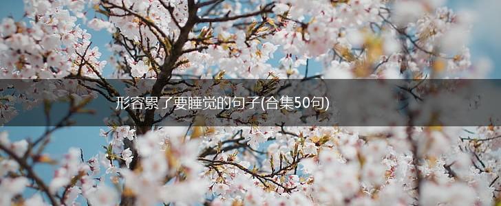 形容累了要睡觉的句子(合集50句),第1张