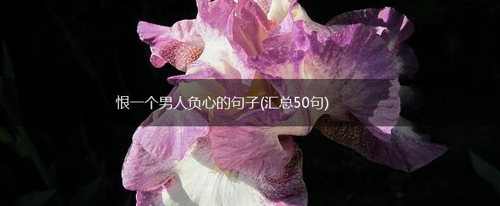 恨一个男人负心的句子(汇总50句),第1张
