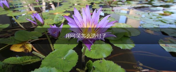 用可笑怎么造句子,第1张