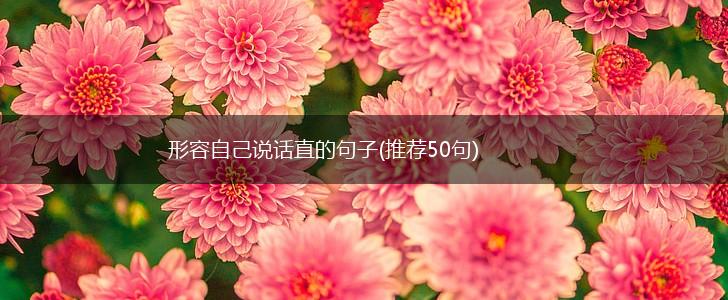 形容自己说话直的句子(推荐50句),第1张