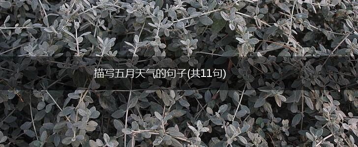 描写五月天气的句子(共11句),第1张
