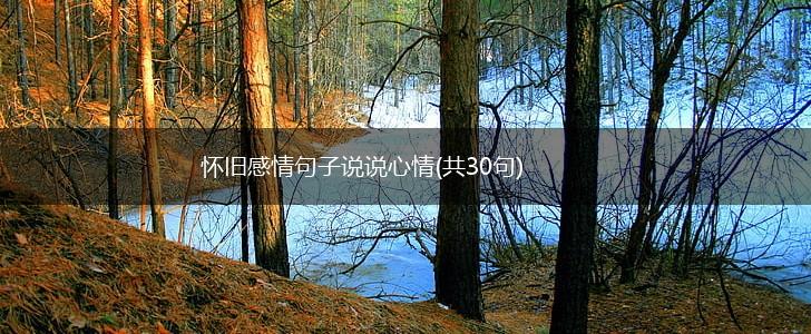 怀旧感情句子说说心情(共30句),第1张