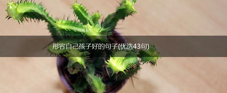 形容自己孩子好的句子(优选43句),第1张