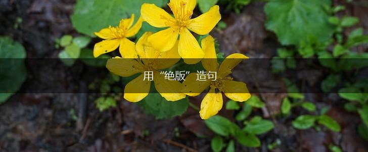 用“绝版”造句,第1张