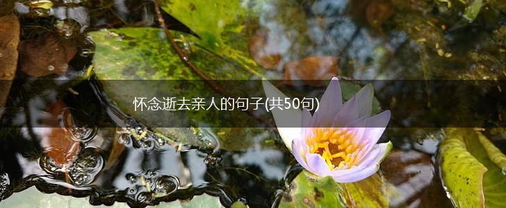 怀念逝去亲人的句子(共50句),第1张