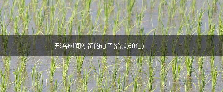 形容时间停留的句子(合集60句),第1张