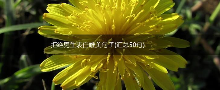 拒绝男生表白唯美句子(汇总50句),第1张