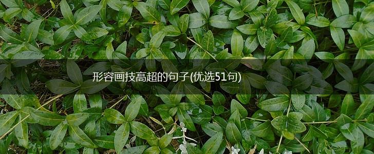 形容画技高超的句子(优选51句),第1张