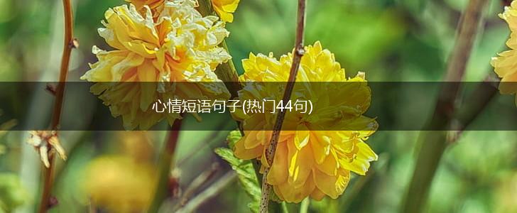 心情短语句子(热门44句),第1张