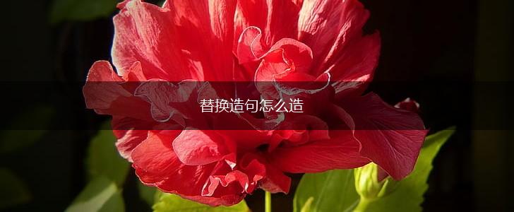 替换造句怎么造,第1张