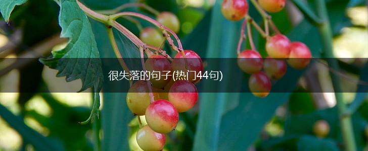 很失落的句子(热门44句),第1张