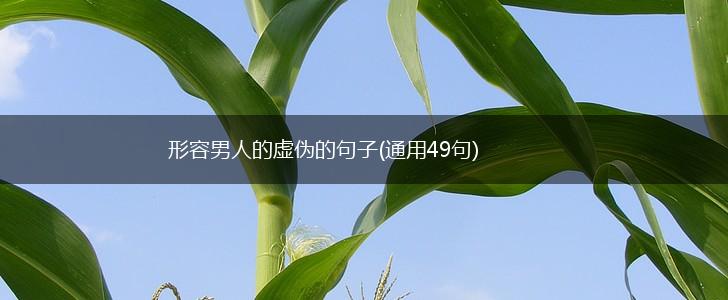 形容男人的虚伪的句子(通用49句),第1张