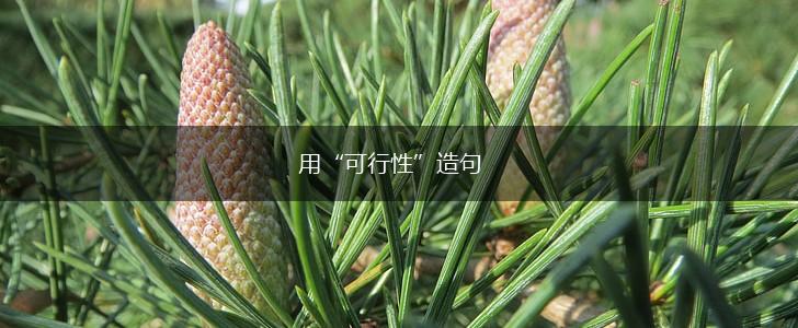 用“可行性”造句,第1张