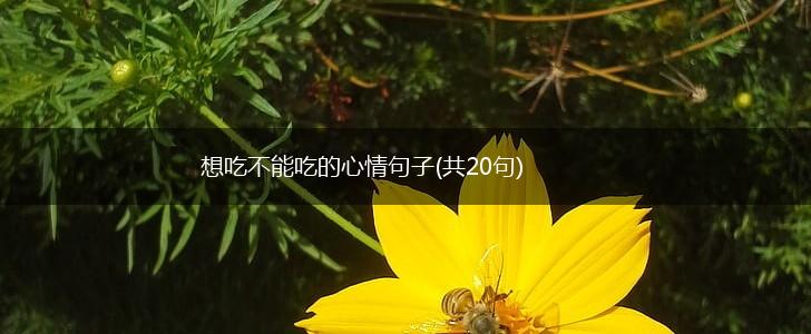 想吃不能吃的心情句子(共20句),第1张