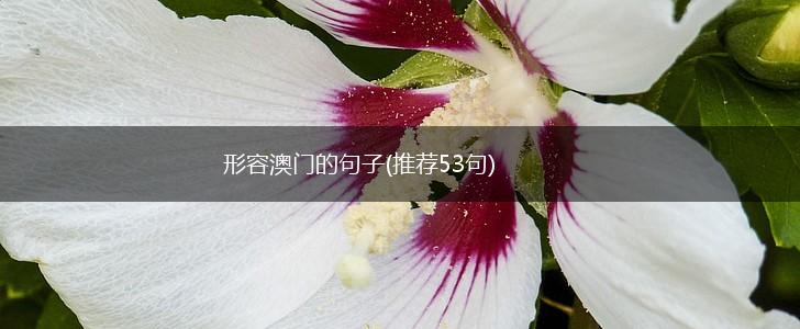 形容澳门的句子(推荐53句),第1张