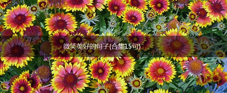 微笑美好的句子(合集15句),第1张
