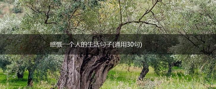 感慨一个人的生活句子(通用30句),第1张