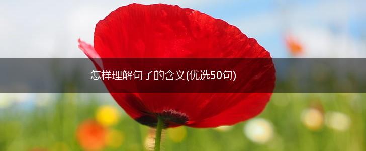 怎样理解句子的含义(优选50句),第1张