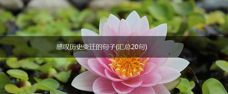 感叹历史变迁的句子(汇总20句),第1张