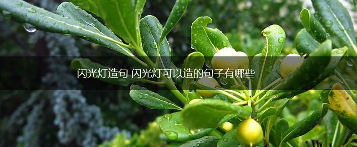 闪光灯造句 闪光灯可以造的句子有哪些,第1张