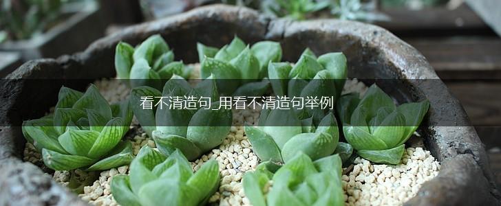 看不清造句_用看不清造句举例,第1张