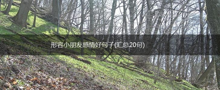 形容小朋友感情好句子(汇总20句),第1张