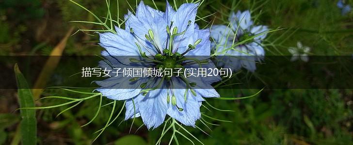 描写女子倾国倾城句子(实用20句),第1张 描写女子倾国倾城句子(实用20句),第1张