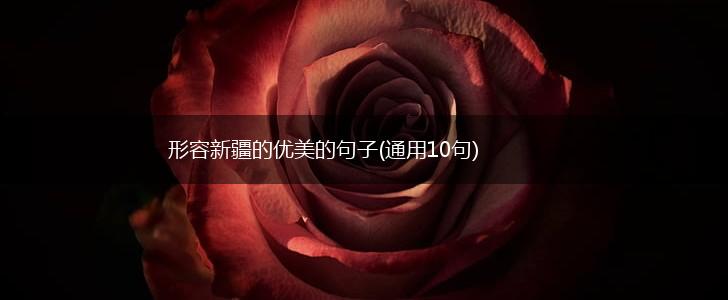 形容新疆的优美的句子(通用10句),第1张