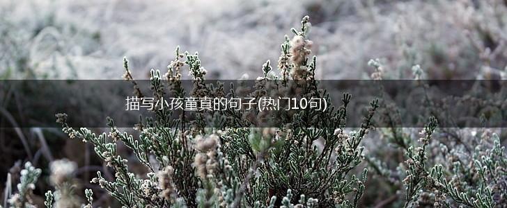描写小孩童真的句子(热门10句),第1张