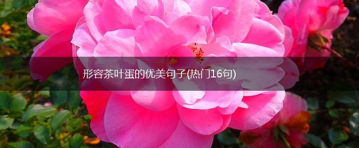 形容茶叶蛋的优美句子(热门16句),第1张