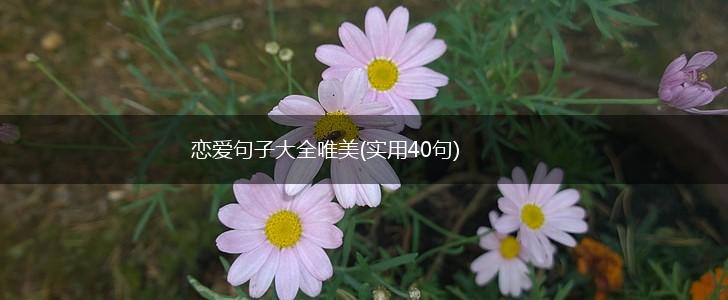 恋爱句子大全唯美(实用40句),第1张