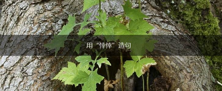 用“悻悻”造句,第1张