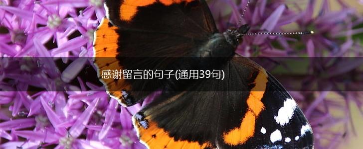 感谢留言的句子(通用39句),第1张
