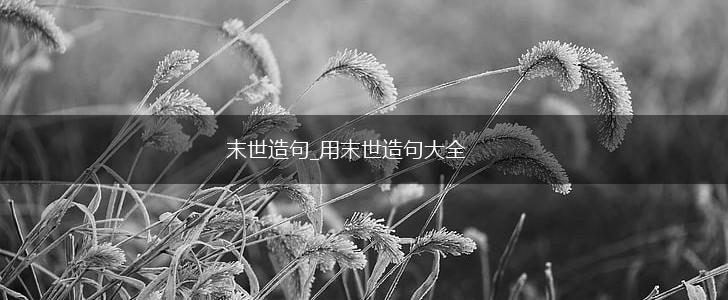 末世造句_用末世造句大全,第1张