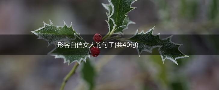 形容自信女人的句子(共40句),第1张